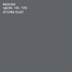 #606469 - Storm Dust Color Image